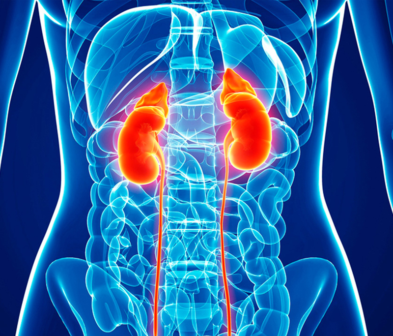 Urologist In Pathankot